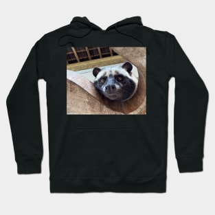 Raccoon Hoodie